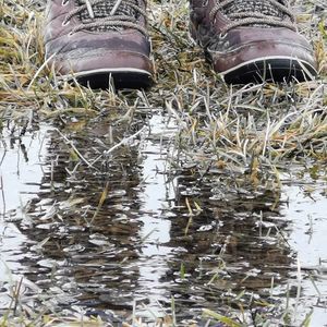 Meet your Posher, Heathr